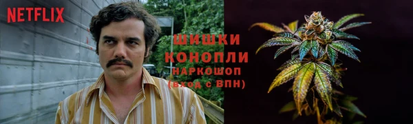 ешки Верхний Тагил