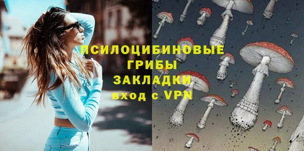 ешки Верхний Тагил