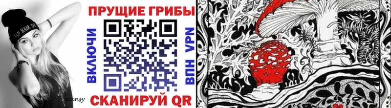 продажа наркотиков  мега маркетплейс  Псилоцибиновые грибы GOLDEN TEACHER  Волчанск 